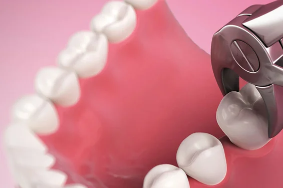 Dental mirror examining white tooth models arranged on pink background for dental care demonstration.